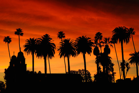 Los Angeles Sunset