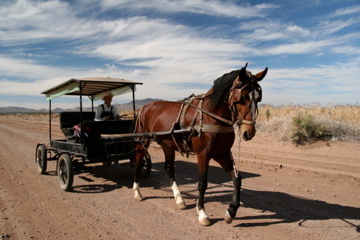 mennonite_1.jpg