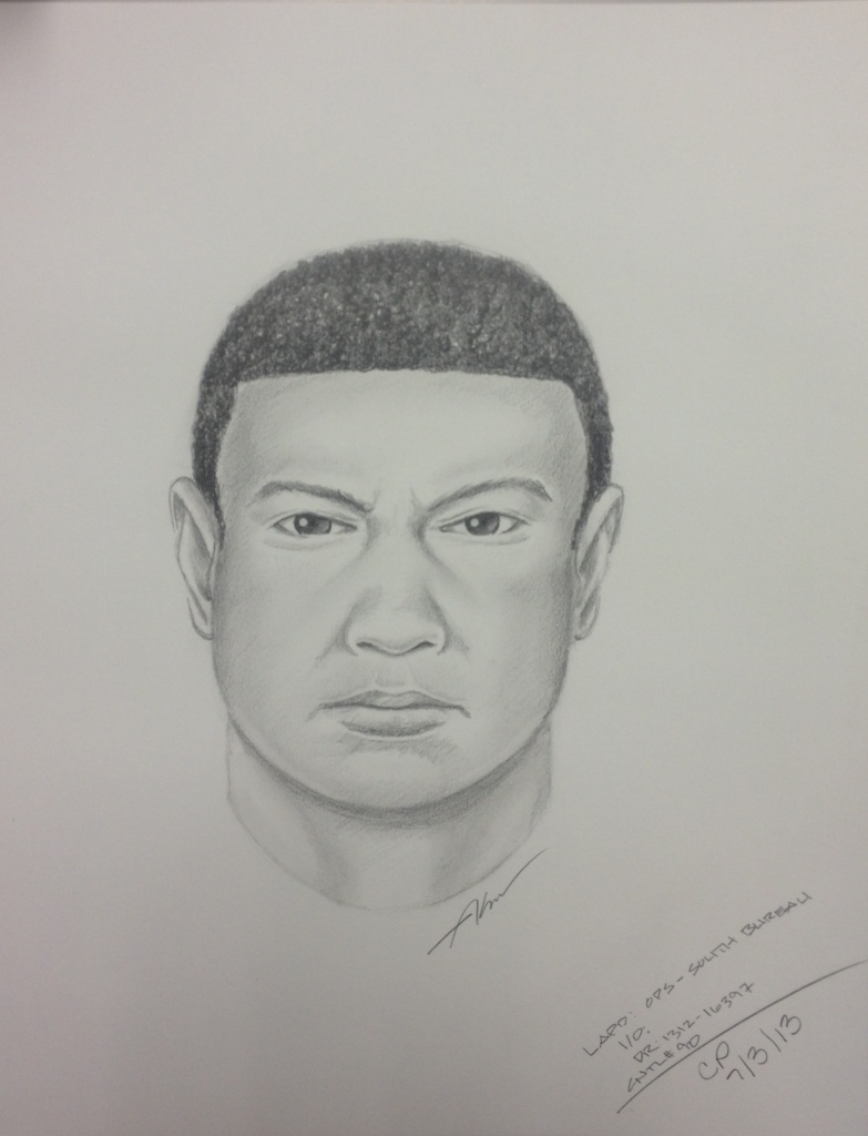 Composite sketch of possible suspect in a freeway shooting on the 110 Freeway in South Los Angeles in which a man was shot in the head.