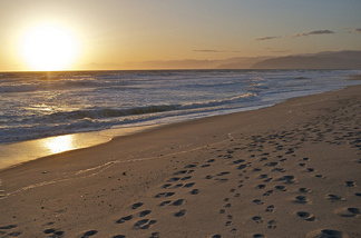McGrath State Beach, located in Oxnard, Calif., is on the list of potential state park closures.