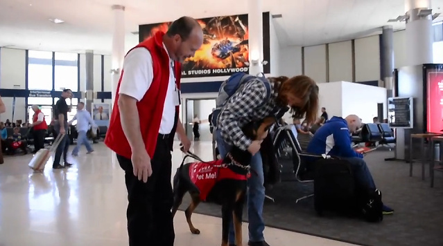 Pets Unstressing People LAX