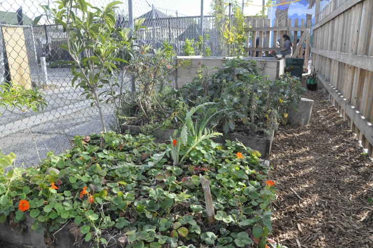 Community Garden (A Place Called Home)