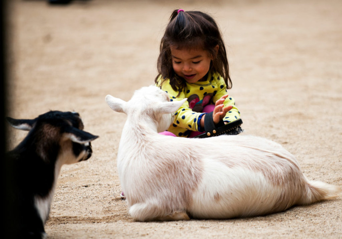 LA Zoo New Animals - 7