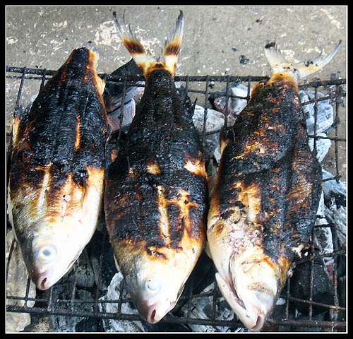 Grilled Hawaiian fish over a pit.