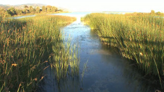 Conservationists disagree over a $7-million lagoon restoration project in Malibu.