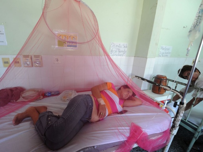 Dengue fever patients are treated in a hospital in Asuncion, Paraguay on January 16, 2013.