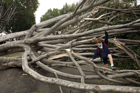 Los Angeles Area Hit With Powerful Santa Ana Winds