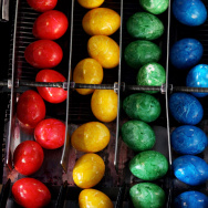 Bavaria's Biggest Coloured Eggs Producer