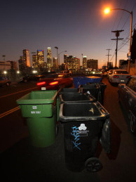 The L.A. City Council has endorsed a new system for collecting trash from apartment buildings and commercial properties.