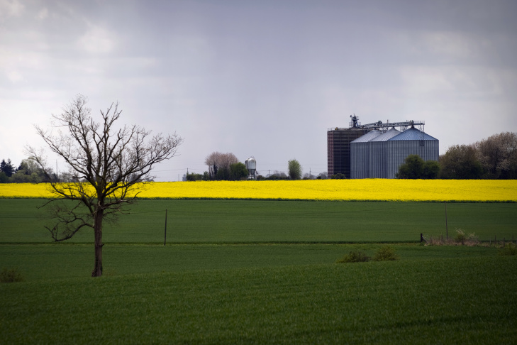 A grain silo is seen next to a rape fiel