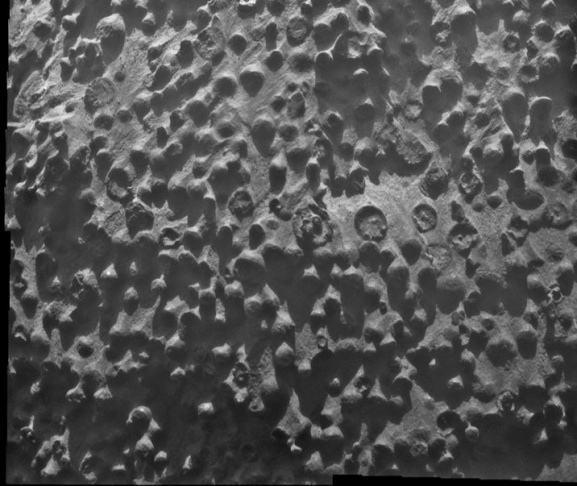 MARS OPPORTUNITY