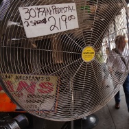 East Coast Withers In Summer Heat Wave