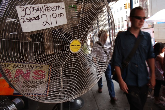 East Coast Withers In Summer Heat Wave