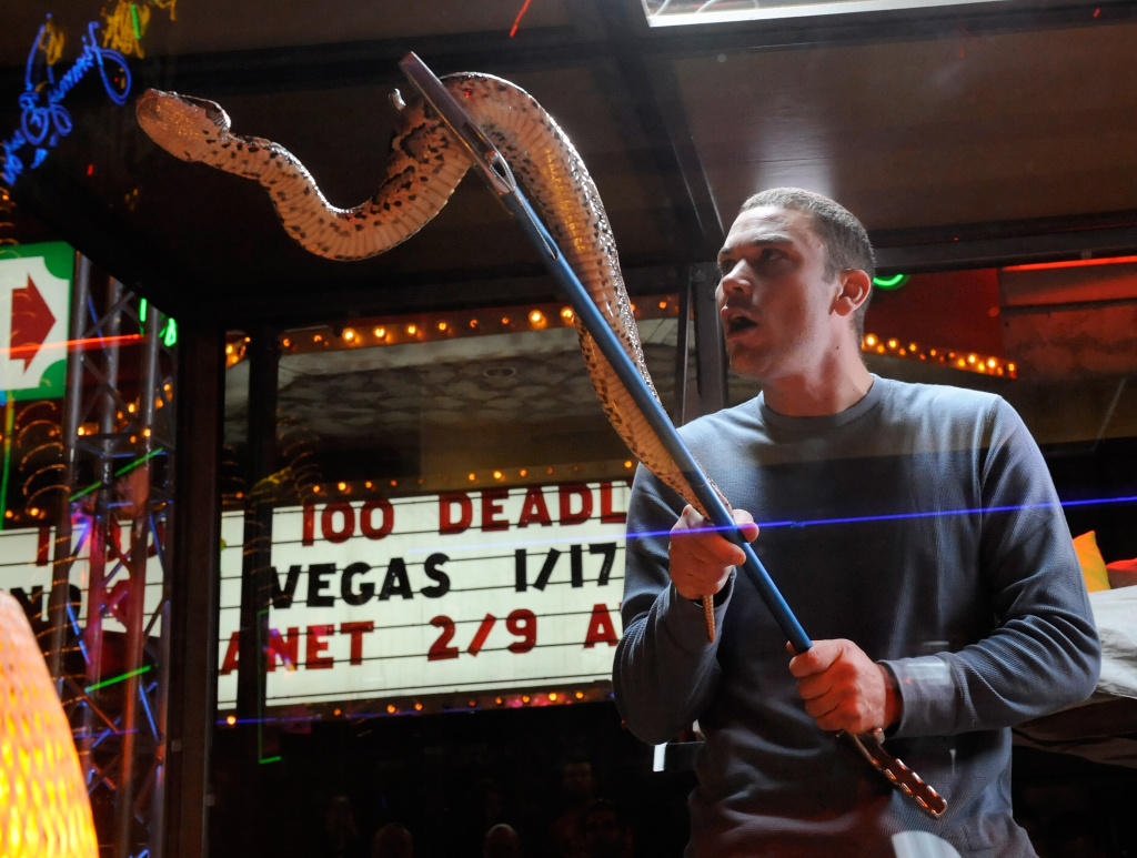 Animal adventurer Donald Schultz holds up a gaboon viper inside a glass box filled with 50 deadly snakes outside O'Sheas Casino on the Las Vegas Strip January 17, 2010 in Las Vegas, Nevada.