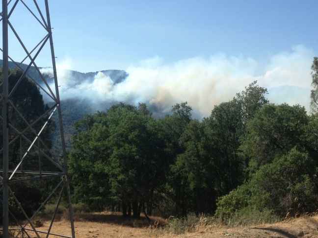 Shirley Fire