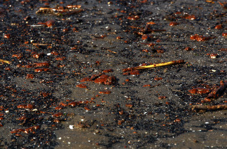 Oil floats ashore at the Grand Isle East State Park May 27, 2010 on Grand Isle, Louisiana.