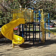 Jungle Gym