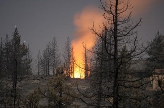 Mercer 17040