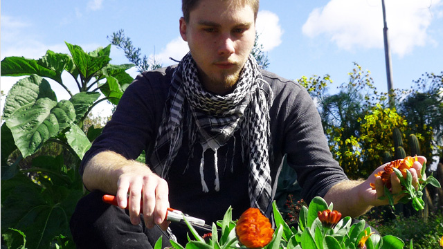 Calder Katz
