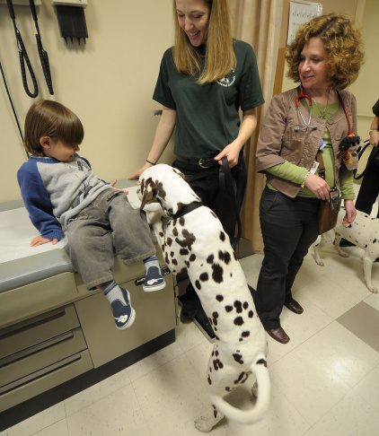 Dogs From "101 Dalmatians The Musical" Visit Hospitalized Children