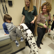 Dogs From "101 Dalmatians The Musical" Visit Hospitalized Children