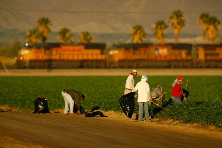 Drought Forces Water Cutbacks To Southern California Farms