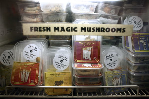 Magic mushrooms are displayed in a refrigerated case at Inne