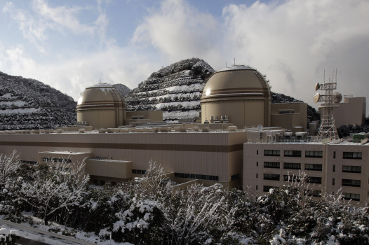 Japan Nuclear