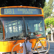 Car, bus or skateboard: how do you get around?