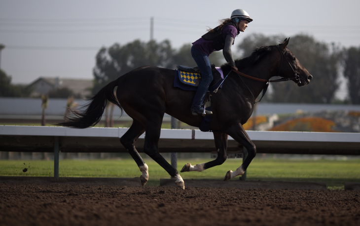 HORSE RACING