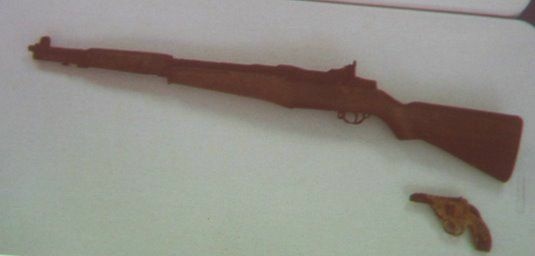 guns firearms echo park lake