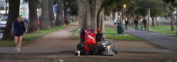 A homeless person sleeps under a tree, protecting himself against rain and cold, 17 January 2007 in Santa Monica, California.