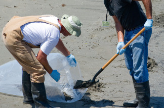 Workers shovel oiled sand hit by the BP Deepwater Horizon oil spill from the Gulf of Mexico to be disposed as cleanup crews work to clean the beach at Grand Isle State Park in Grand Isle, Louisiana.