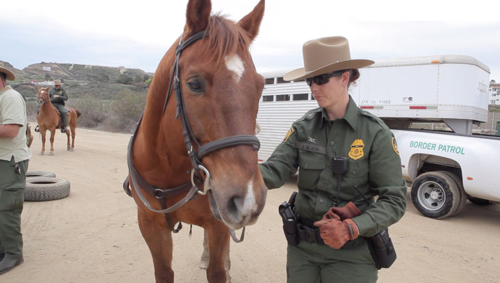 Horse Patrol
