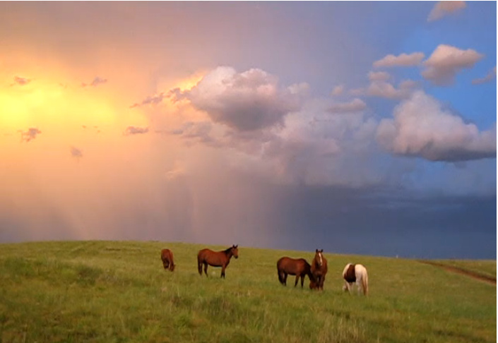 pine ridge