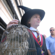 A Harry Potter fan and his owl