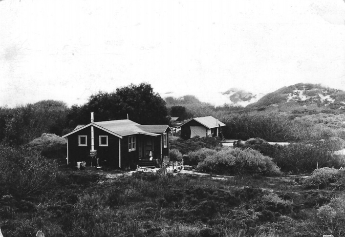 Moy mell
