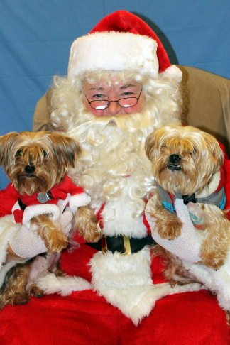 PetSmart Santa