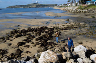 (L - R) Leighana Murphy and Ted Lanpher walk across a portion of a beach between tsunami surges on March 11, 2011 in Half Moon Bay, California.