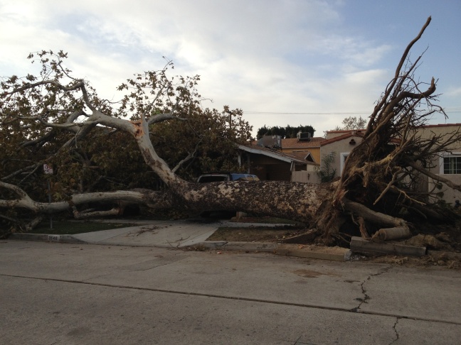Atwater damage