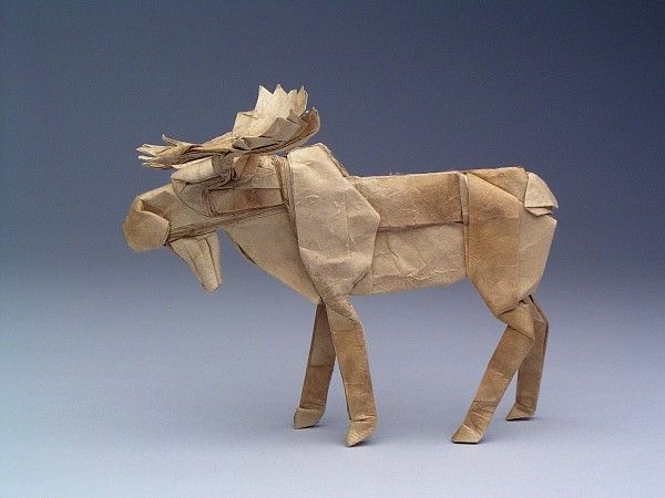 Bull Moose, opus 413