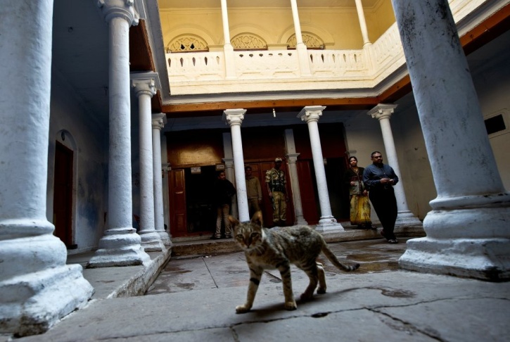 A cat walks past as an Indian couple lea