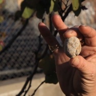 Patt Morrison puts the LACMA rock in perspective