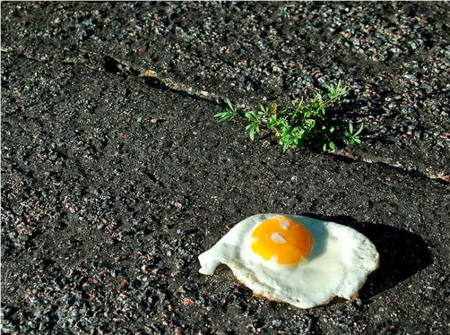 heatwave egg sidewalk street