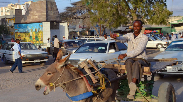 Somalia is synonymous with failed states, pirates and Islamist militants. But in the nation's northwest lies a peaceful, stable territory known as Somaliland.