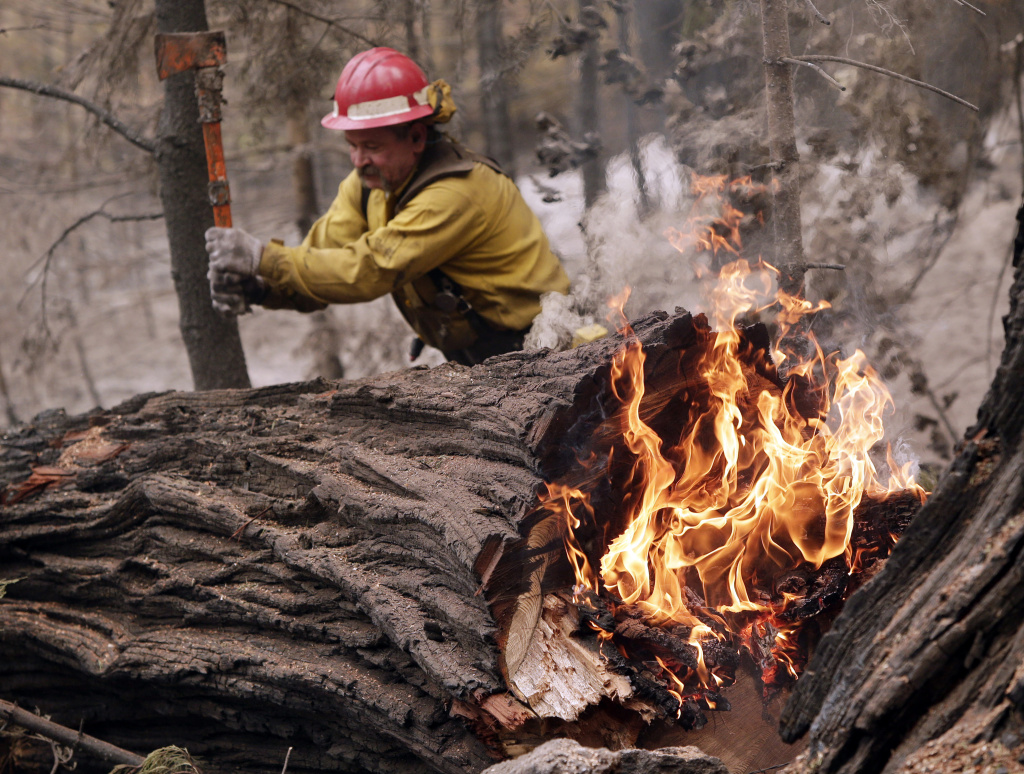Tracy Porter, of Paradise, Calif., uses an axe to fragment a burning tree damaged by the Eiler Fire on Monday, Aug. 4, 2014, in the Lassen National Park near Hat Creek, Calif. Firefighters were focusing on two wildfires near each other in Northern California that have burned through more than 100 square miles of terrain. (AP Photo/Marcio Jose Sanchez)
