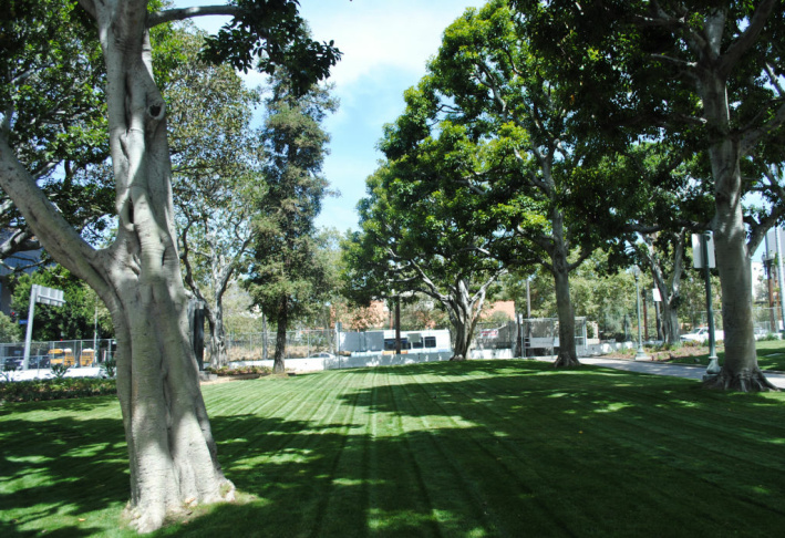 City Hall Lawn