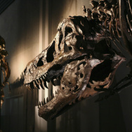 World's Largest Tyrannosaurus Rex Unveiled At The Dinosaur Expo 2005