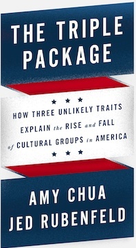 Amy Chua and her husband Jed Rubenfeld co-authored the controversial book "The Triple Package: How Three Unlikely Traits Explain the Rise and Fall of Cultural Groups in America."