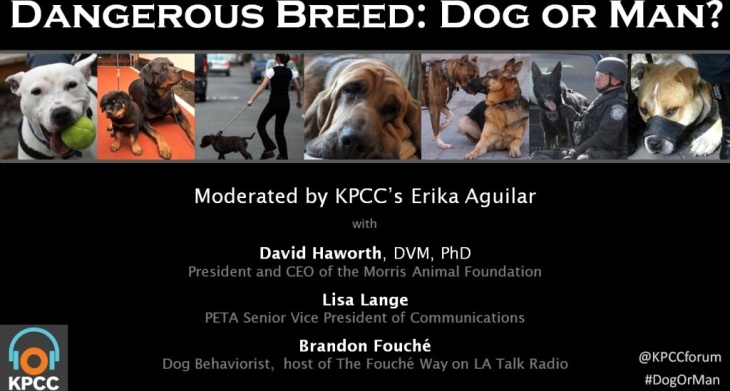 Dangerous breed: dog or man?
